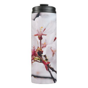 KIRSCHBLÜTEN IN MAKROAUFNAHME THERMOSBECHER