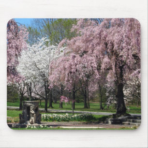Kirschblüten in Philadelphia Mousepad
