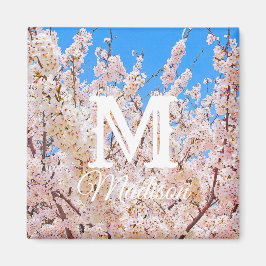 Kirschblüten in voller Blüte Magnet