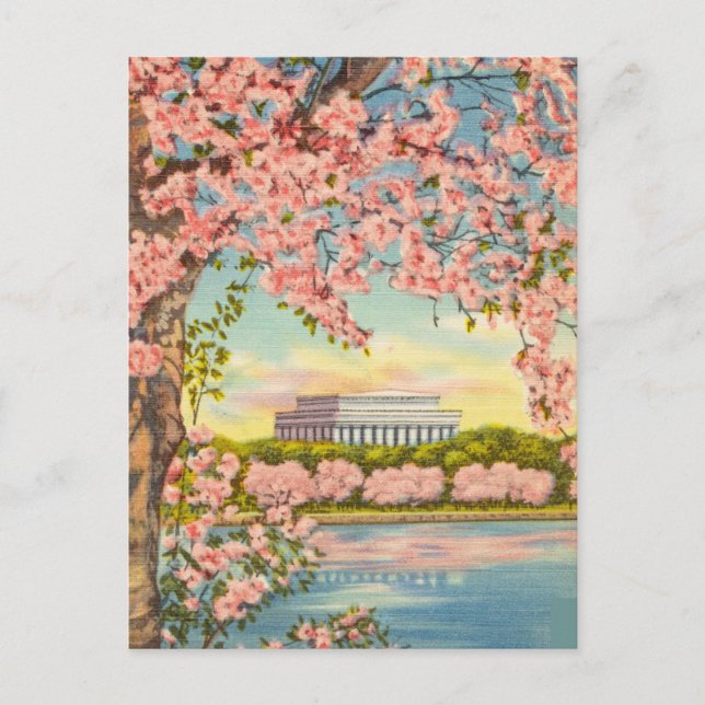 Kirschblüten in Washington D.C. Postkarte (Vorderseite)