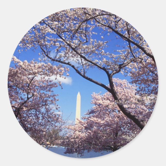 Kirschblüten in Washington D.C. Runder Aufkleber (Vorderseite)