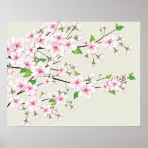 Kirschblüten-Kirschblüte-Druck Poster