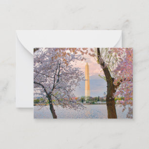 Kirschblüten Mitteilungskarte