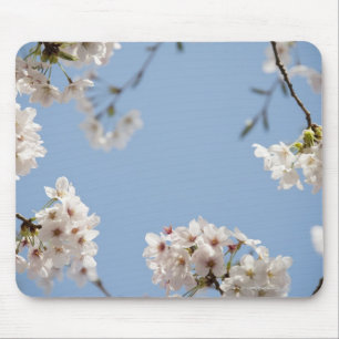 Kirschblüten Mousepad