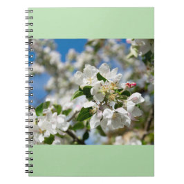 Kirschblüten. Notizblock