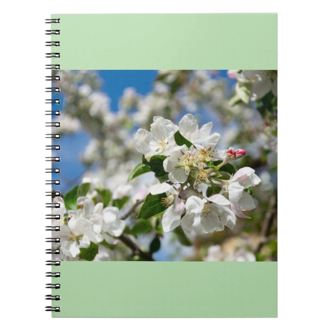 Kirschblüten. Notizblock (Vorderseite)