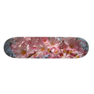 Kirschblüten-Plattform Skateboard