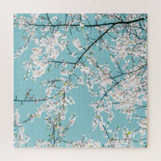 Kirschblüten: Türkisfarbener Trend