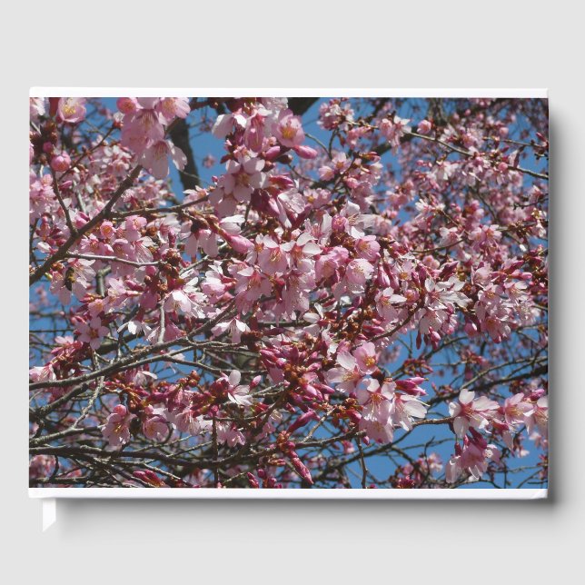 Kirschblüten und Blauer Himmelsblüte Gästebuch (Vorderseite)