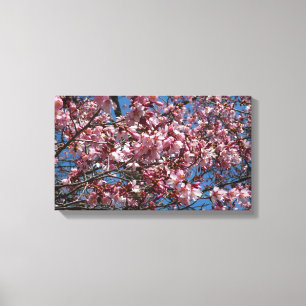 Kirschblüten und Blauer Himmelsblüte Leinwanddruck