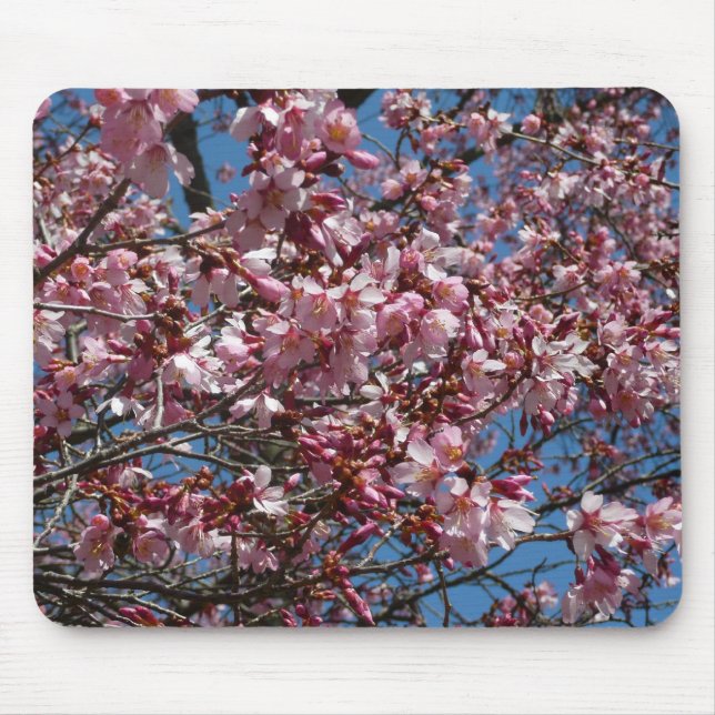 Kirschblüten und Blauer Himmelsblüte Mousepad (Vorne)