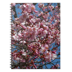 Kirschblüten und Blauer Himmelsblüte Notizblock