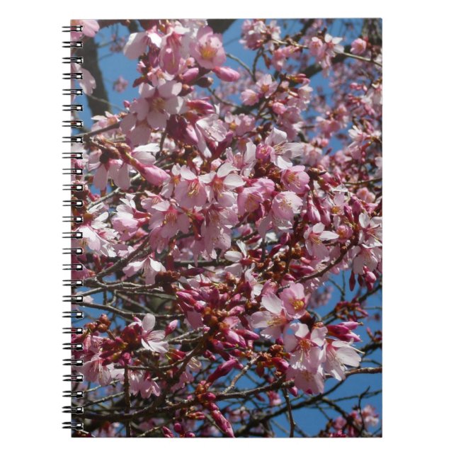 Kirschblüten und Blauer Himmelsblüte Notizblock (Vorderseite)