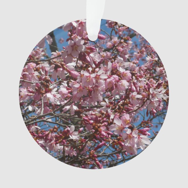 Kirschblüten und Blauer Himmelsblüte Ornament (Vorderseite)