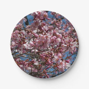 Kirschblüten und Blauer Himmelsblüte Pappteller