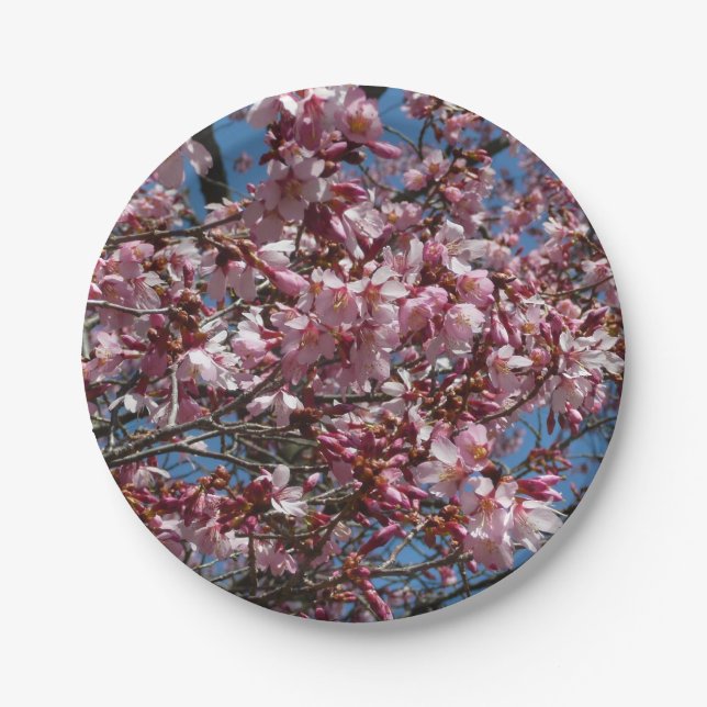Kirschblüten und Blauer Himmelsblüte Pappteller (Vorderseite)