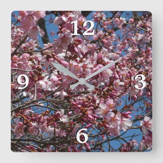 Kirschblüten und Blauer Himmelsblüte Quadratische Wanduhr (Vorderseite)
