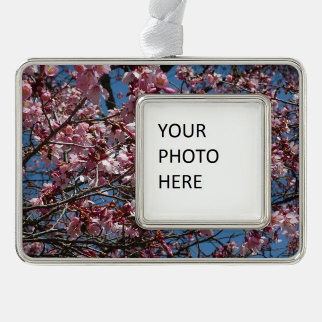 Kirschblüten und Blauer Himmelsblüte Rahmen-Ornament Silber (Vorderseite)