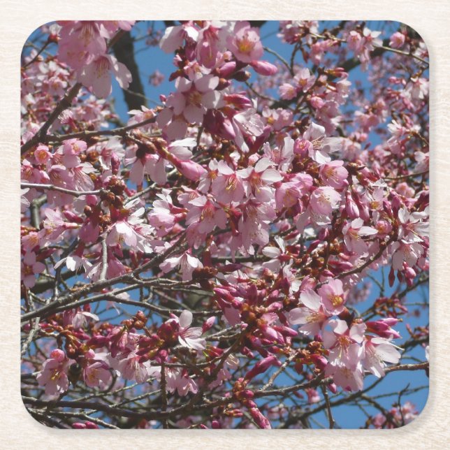 Kirschblüten und Blauer Himmelsblüte Rechteckiger Pappuntersetzer (Vorderseite)