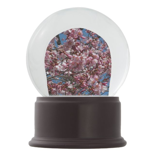 Kirschblüten und Blauer Himmelsblüte Schneekugel (Vorderseite)