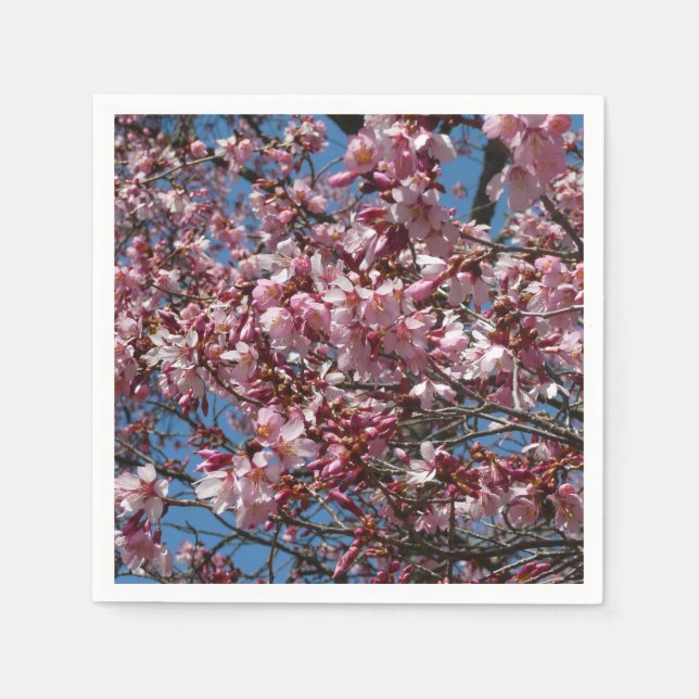 Kirschblüten und Blauer Himmelsblüte Serviette (Vorderseite)
