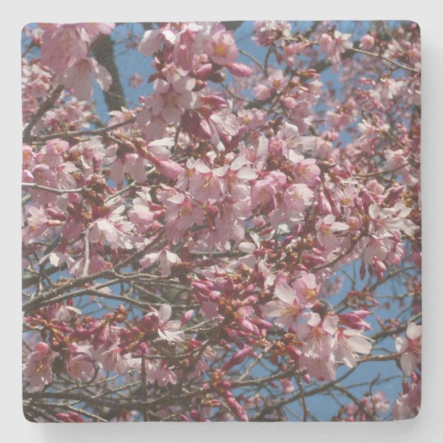 Kirschblüten und Blauer Himmelsblüte Steinuntersetzer (Vorderseite)