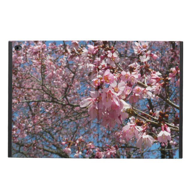Kirschblüten und Blüten aus Bienenrosa (Außenansicht)