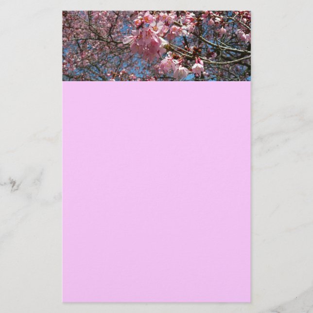 Kirschblüten und Blüten aus Bienenrosa Briefpapier (Vorderseite)