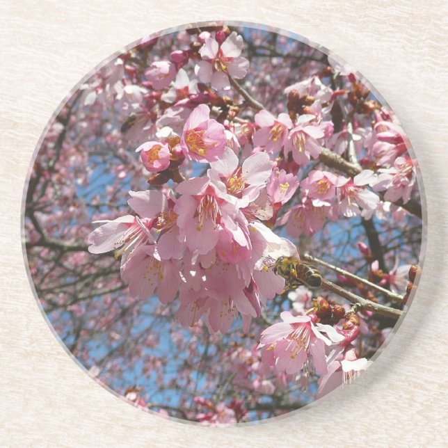 Kirschblüten und Blüten aus Bienenrosa Untersetzer (Vorne)