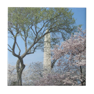 Kirschblüten und das Washington Monument in DC Fliese
