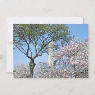 Kirschblüten und das Washington Monument in DC Karte