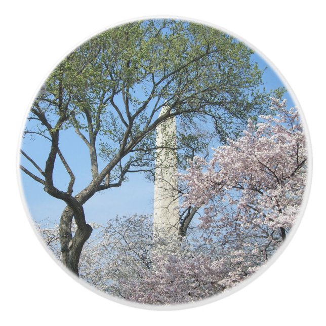 Kirschblüten und das Washington Monument in DC Keramikknauf (Vorderseite)