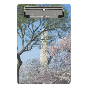 Kirschblüten und das Washington Monument in DC Mini Klemmbrett