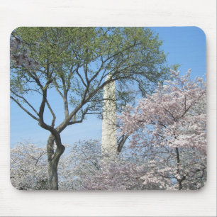 Kirschblüten und das Washington Monument in DC Mousepad