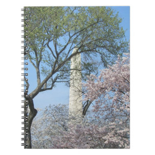 Kirschblüten und das Washington Monument in DC Notizblock