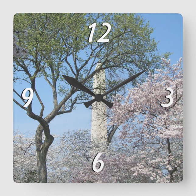 Kirschblüten und das Washington Monument in DC Quadratische Wanduhr (Vorderseite)