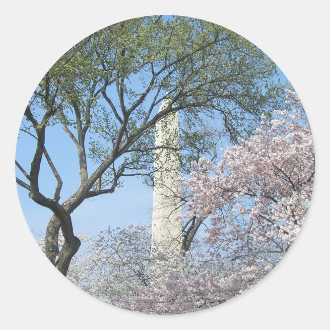 Kirschblüten und das Washington Monument in DC Runder Aufkleber (Vorderseite)