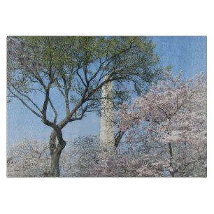 Kirschblüten und das Washington Monument in DC Schneidebrett