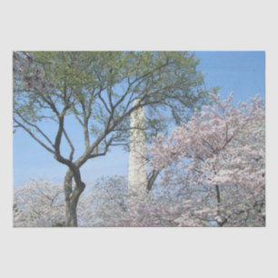 Kirschblüten und das Washington Monument in DC Seidenpapier