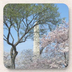 Kirschblüten und das Washington Monument in DC Untersetzer