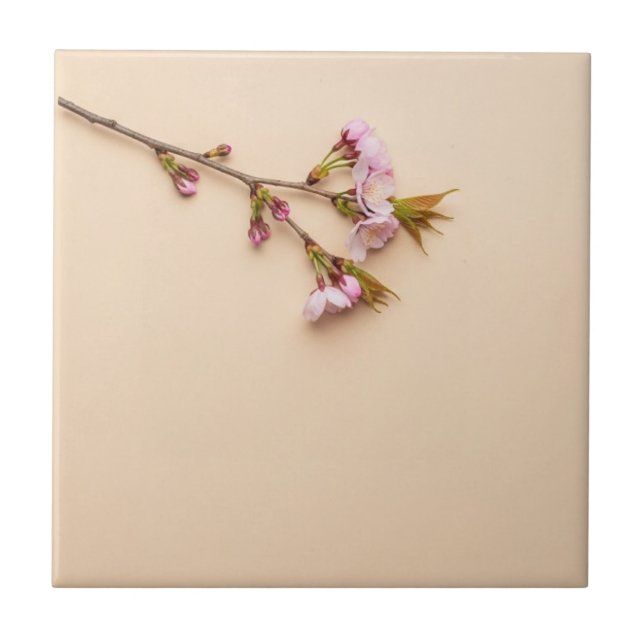 Kirschblüten- und Gänseblümchen-Hintergrund Fliese (Vorderseite)