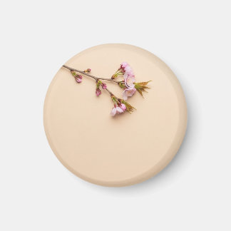 Kirschblüten- und Gänseblümchen-Hintergrund Magnet