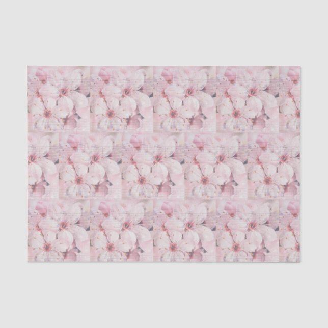 Kirschblüten und Musikstiftpapier Seidenpapier (Vorderseite)
