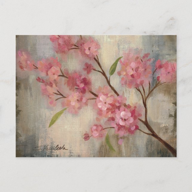 Kirschblüten und -niederlassung postkarte (Vorderseite)