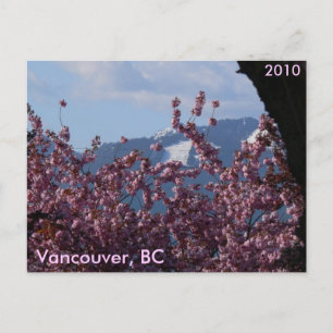 Kirschblüten und Winter-Olympia Postkarte