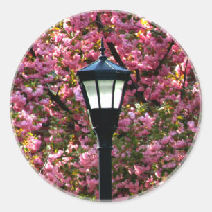 Kirschblüten Viktorianische Lampe Post Landschaftl Runder Aufkleber