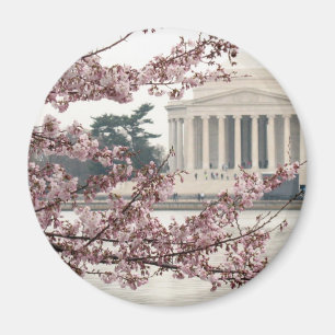 Kirschblüten-Washington DC Magnet