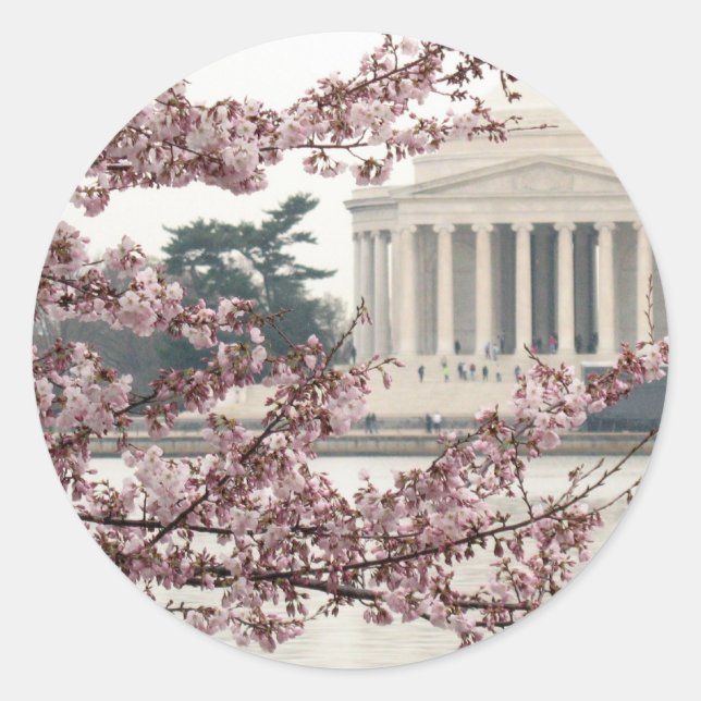 Kirschblüten-Washington DC Runder Aufkleber (Vorderseite)