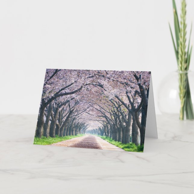 Kirschblüten-Weg Karte (Vorderseite)