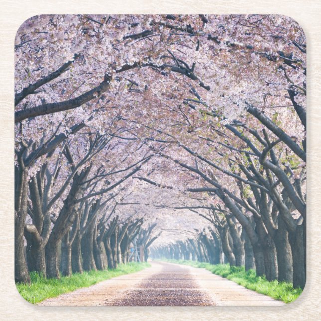 Kirschblüten-Weg Rechteckiger Pappuntersetzer (Vorderseite)